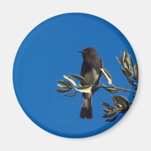 Fly Catcher Magnet