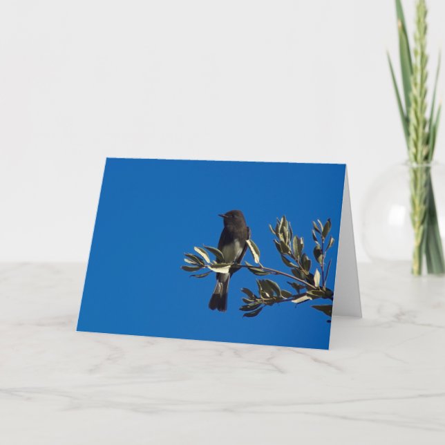 Fly Catcher Perched Card (Front)