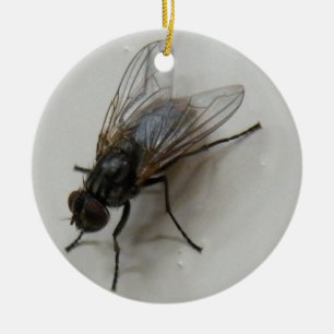 Fly Ceramic Tree Decoration