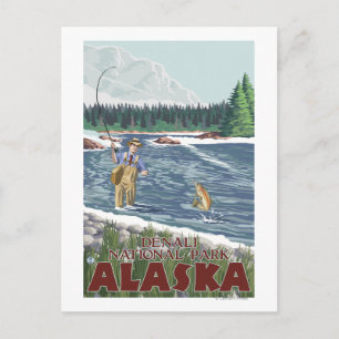 Fly Fisherman - Denali National Park, Alaska Postcard
