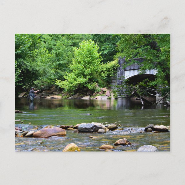 Fly Fishing Day Dream  Postcard (Front)