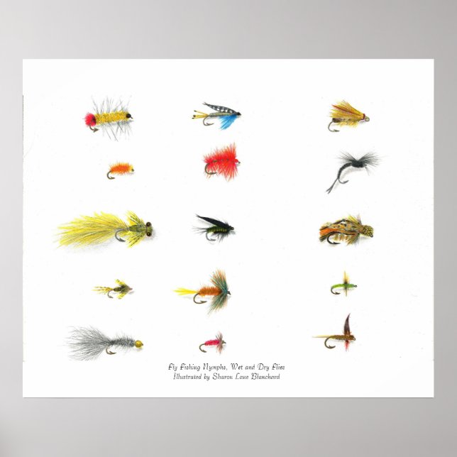 Fly Fishing, Fly Fishing Nymphs, Wet and Dry Fl... Poster (Front)
