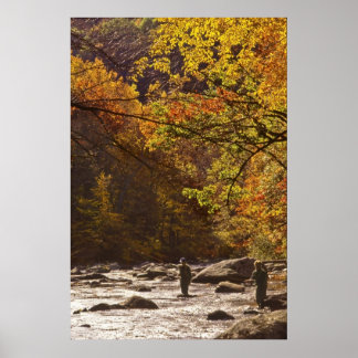 Fly Fishing In Autumn - Poster