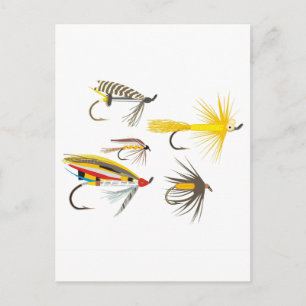 Fly Fishing Lures Postcard