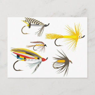 Fly Fishing Lures Postcard