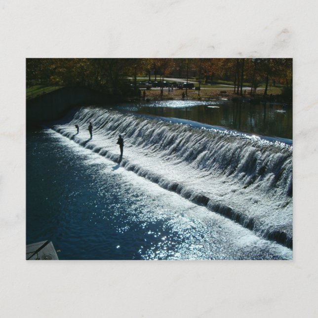 Fly Fishing Postcard (Front)