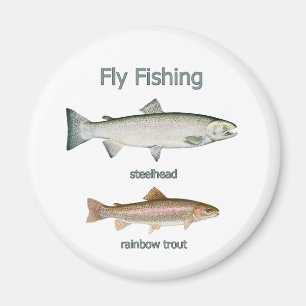 Fly Fishing Rainbow Trout - Steelhead Magnet