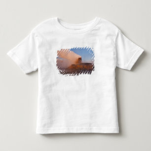 Fly Geyser with snow capped Granite Range 3 Toddler T-Shirt