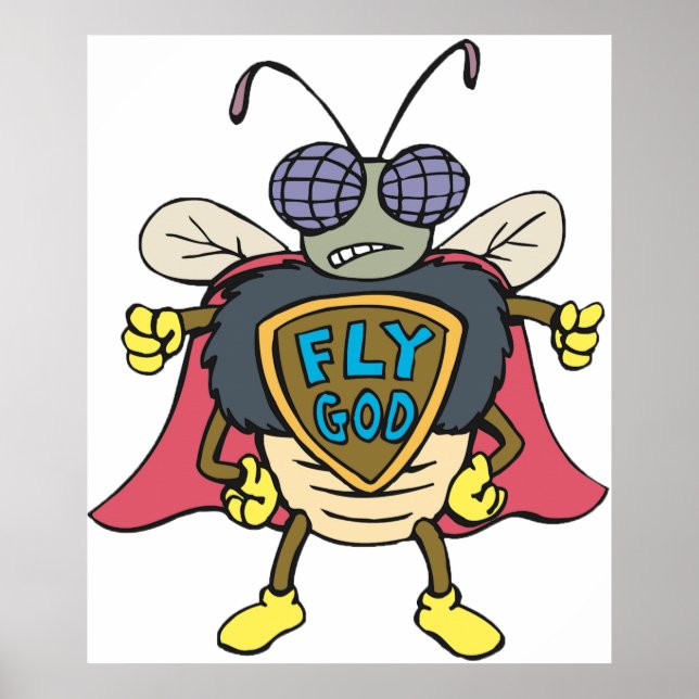 Fly God Superhero Fly Insect Character Poster (Front)