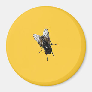 fly magnet