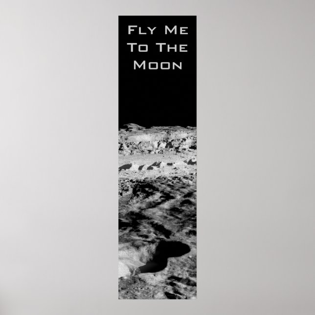 Fly Me To The Moon Poster (Front)
