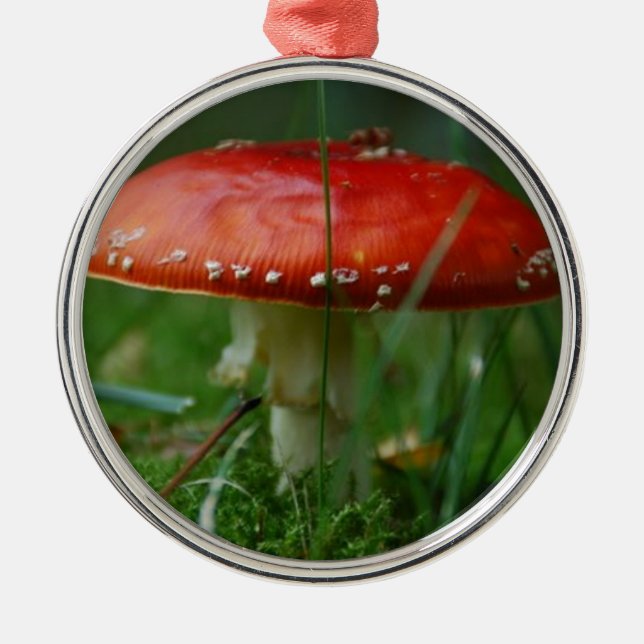 fly metal tree decoration (Front)