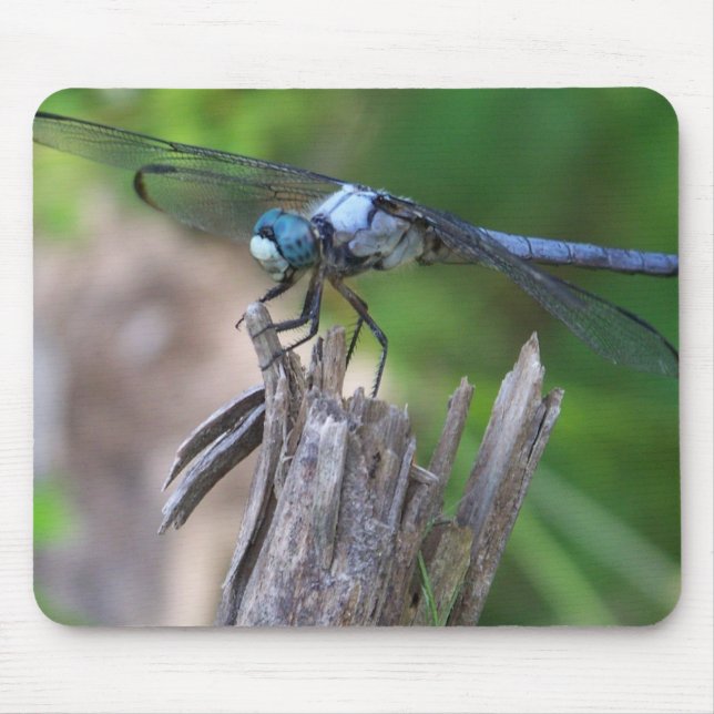 Fly Mouse Mouse Pad (Front)