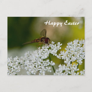 Fly on a flower happy easter poscard holiday postcard