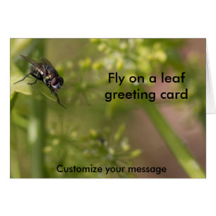 Fly on the wall photography card blank