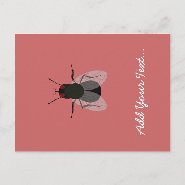 Fly Postcard (Front)