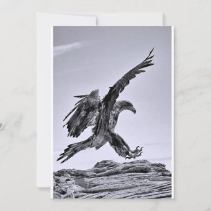 Fly to my party - Invitation