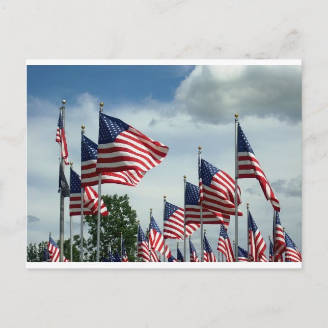 fly your flag postcard (Front)