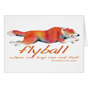 Flyball real dogs