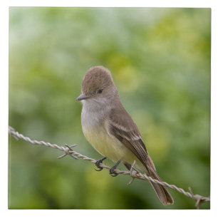 Flycatcher Ceramic Tile