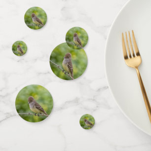 Flycatcher Confetti