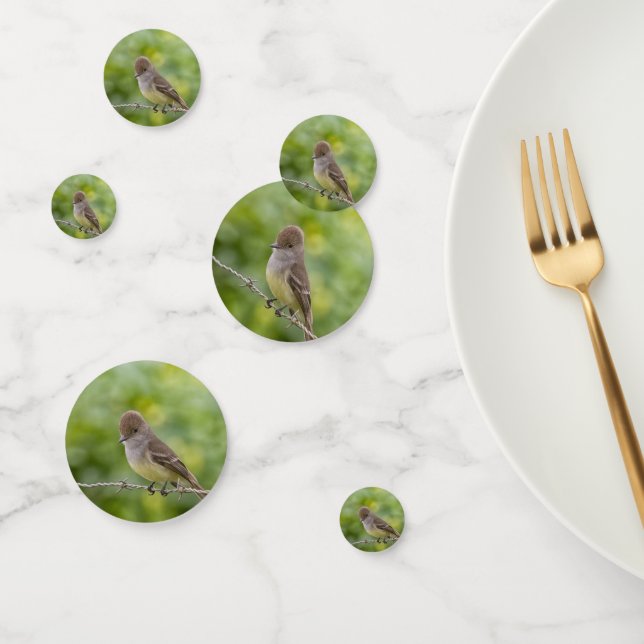 Flycatcher Confetti (Group)