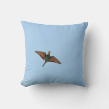 Flycatcher