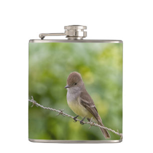 Flycatcher Hip Flask