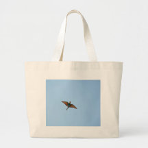 Flycatcher