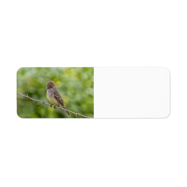 Flycatcher Return Address Label (Front)