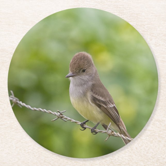 Flycatcher Round Paper Coaster (Front)