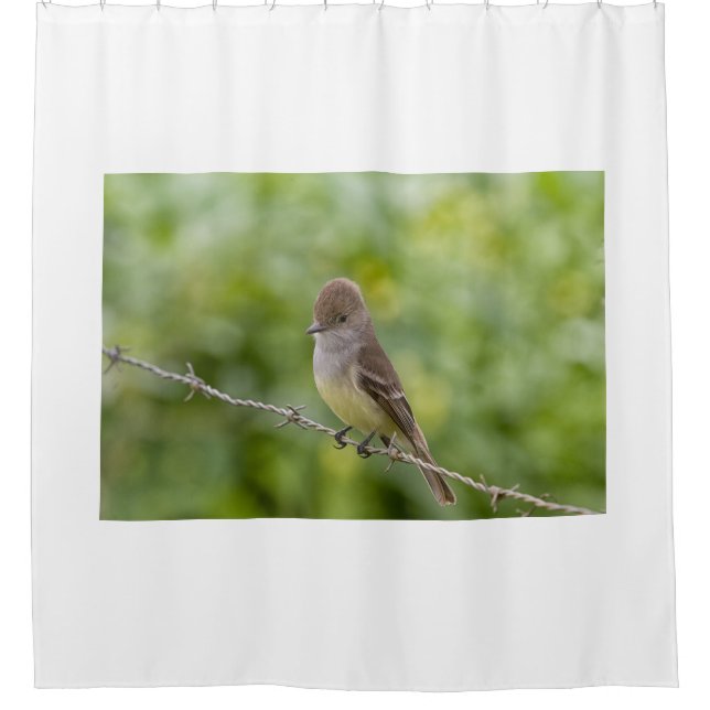 Flycatcher Shower Curtain (Front)