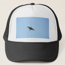 Flycatcher