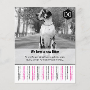 Flyer "Seller"