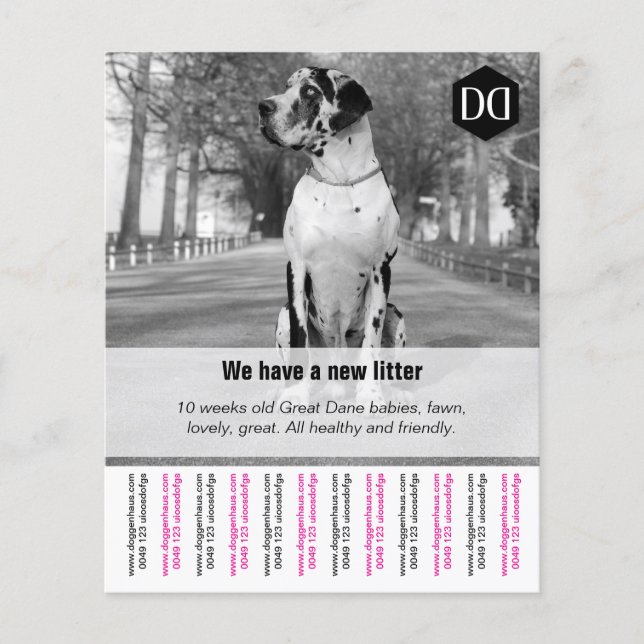 Flyer "Seller" (Front)