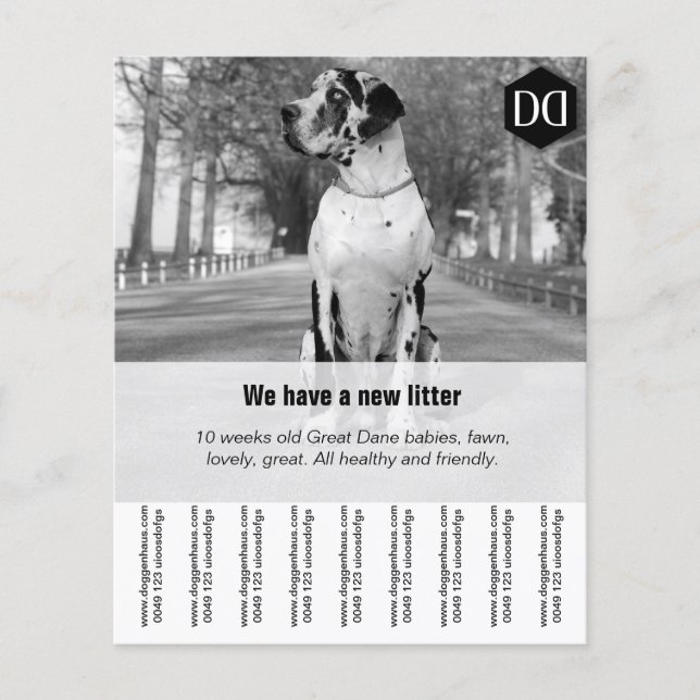 Flyer "Seller" (Front)