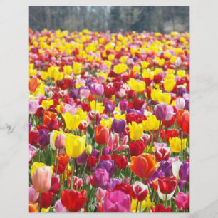 Flyers Paper Spring Theme Tulip Flowers