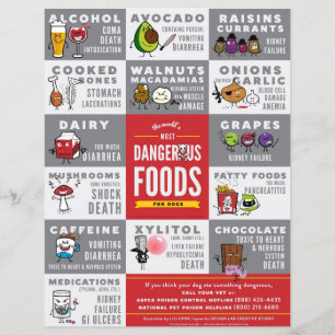 Flyers- The World's Most Dangerous Food For Dogs Flyer