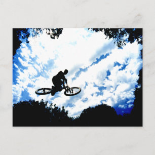 Flyin' High! Postcard