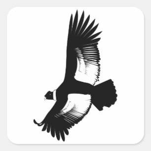 Flying Andean Condor Square Sticker