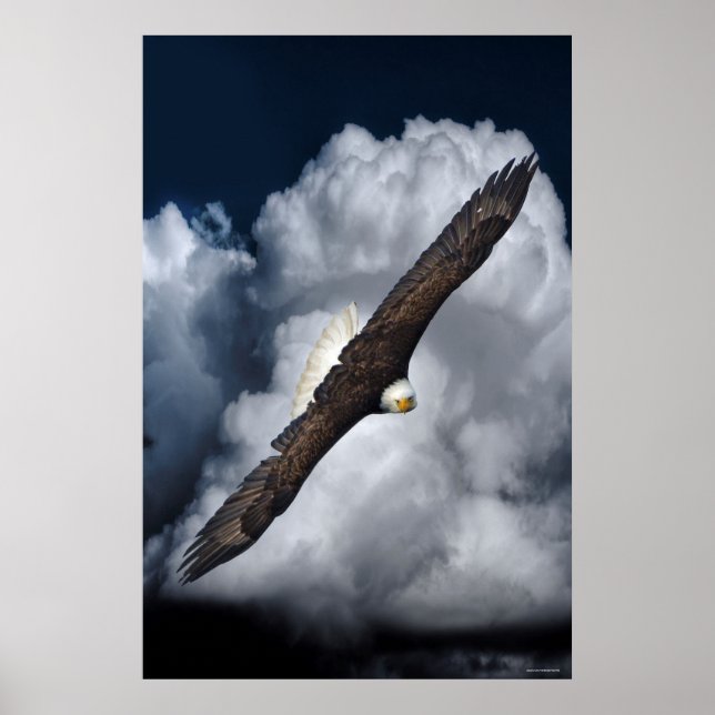 Flying Bald Eagle and Clouds Wildlife Photo Print2 Poster (Front)