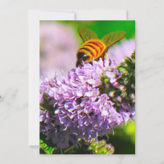 Flying Bee 5 x 7 Expression/Greeting Card