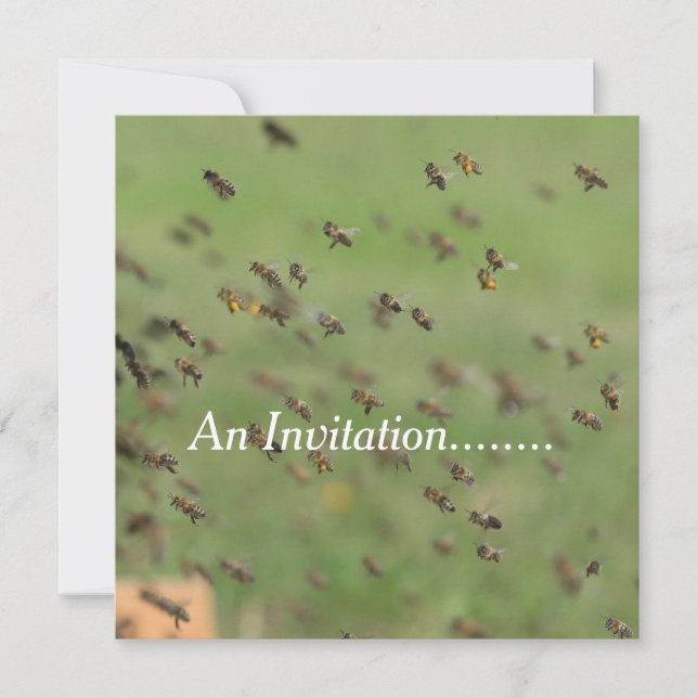 Flying Bees - Personalized Party Invitation (Front)