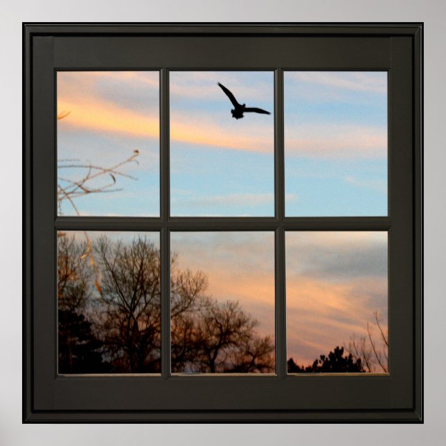 Flying Bird Faux Window Illusion 24x24 Black Poster (Front)