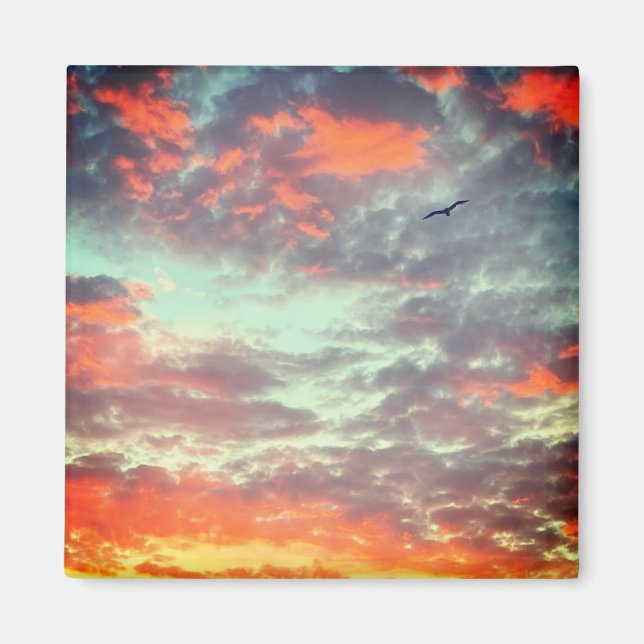 Flying Bird in Clouds Photo Magnet (Front)