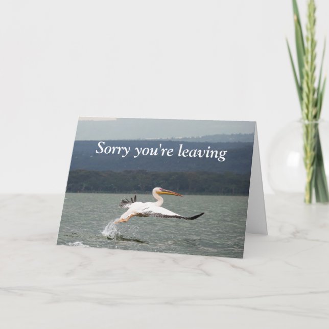 Flying bird leaving card (Front)