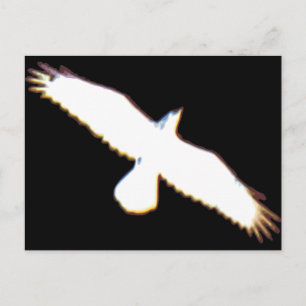 Flying Bird Silhouette Postcard