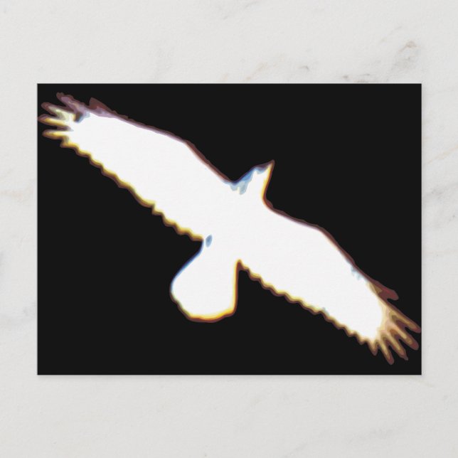 Flying Bird Silhouette Postcard (Front)
