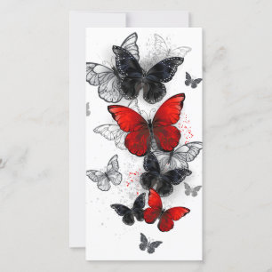 Flying Black and Red Morpho Butterflies Announcement