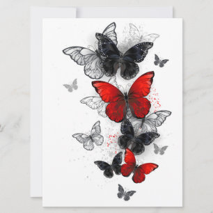 Flying Black and Red Morpho Butterflies Announcement